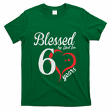 Vintage 60th Birthday Blessed By God, Happy Birthday Gift T-Shirt - Green